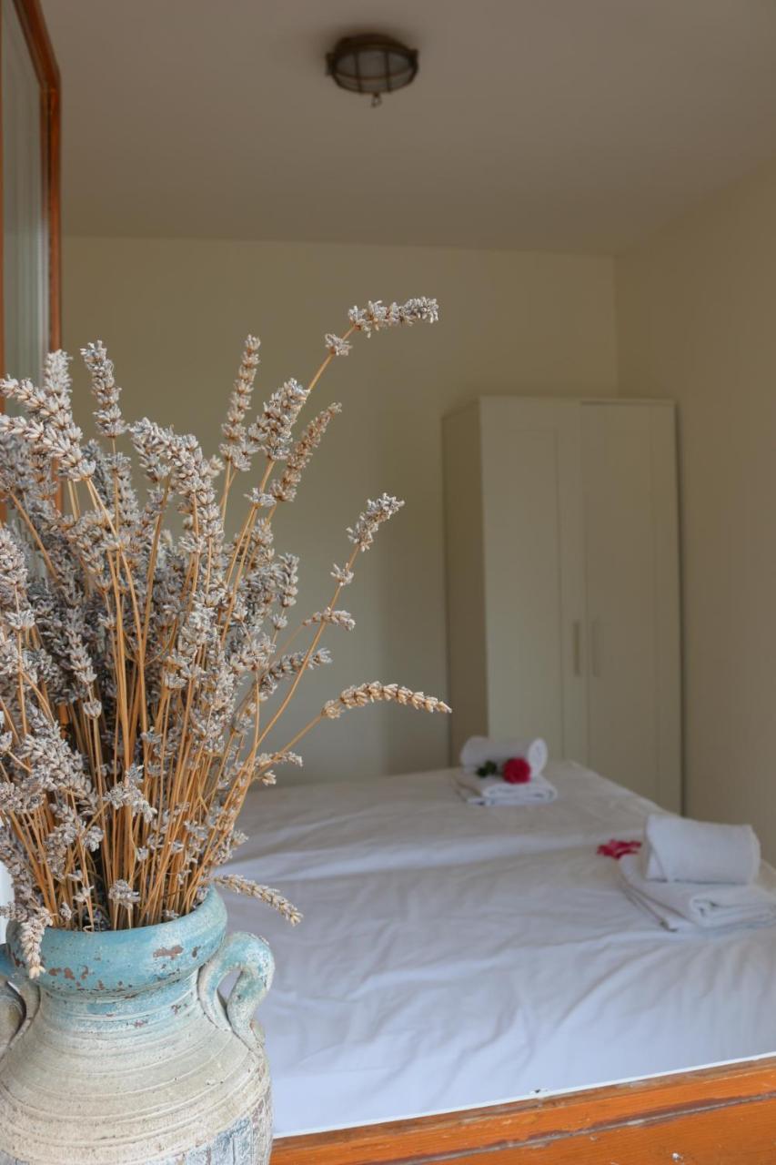 Piran Beach House - Private Oasis - Beachfront Apartment With A Sea View Terrace Exteriér fotografie